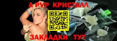 стаф Гай
