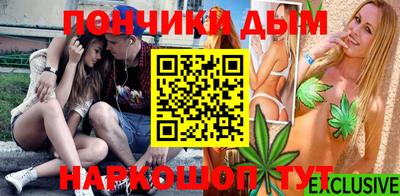 стаф Гай