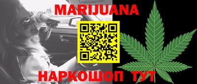 стаф Гай