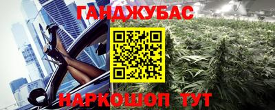 стаф Гай