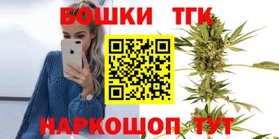 стаф Гай