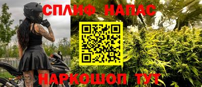 стаф Гай