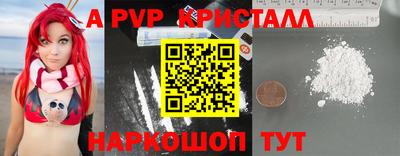 стаф Гай