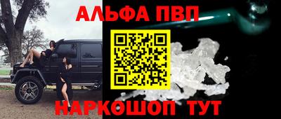 стаф Гай