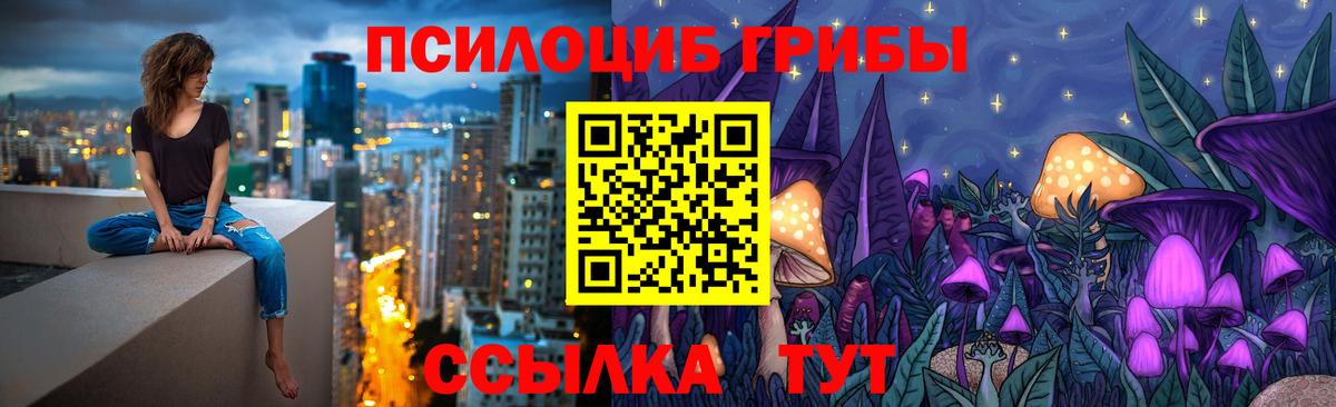 Псилоцибиновые грибы MAGIC MUSHROOMS  Вход с VPN  Горно-Алтайск 